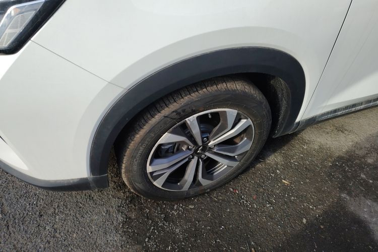 Used Wuling Asta 2022 2.0L DHT Electric Power Version
