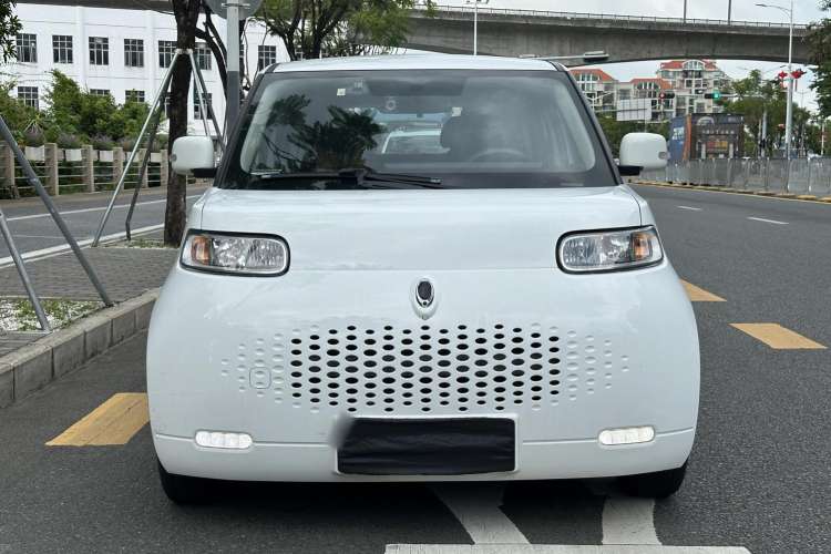 Used ORA White Cat 2020 360 km Luxury Version