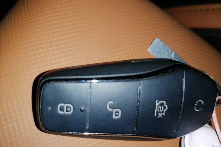 Used BYD e2 2021 Luxury Model
