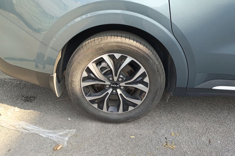 Used Kia Carnival 2021 2.0T Flagship Edition
