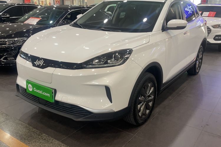 Used WM Motor EX5 2019 EX5 Mate Weymeng Edition 400