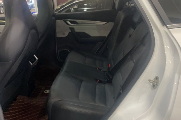 Used WM Motor EX5 2019 EX5 Mate Weymeng Edition 400
