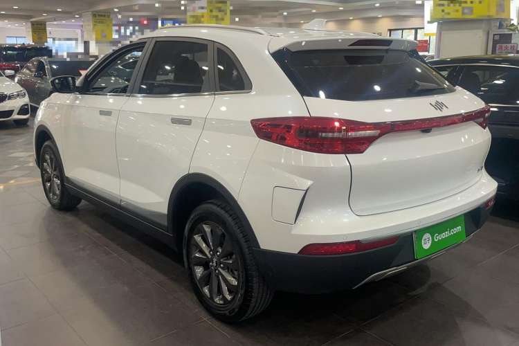 Used WM Motor EX5 2019 EX5 Mate Weymeng Edition 400
