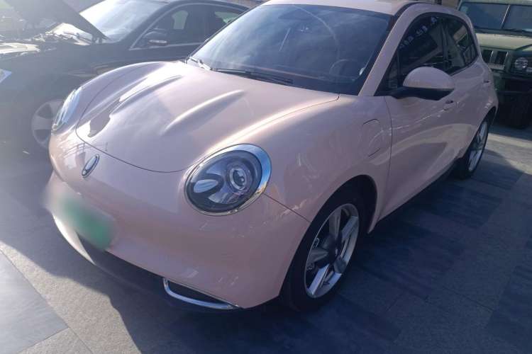 Used ORA Good Cat 2022 500 km Long-Range Premium Version Lithium-Ion Battery