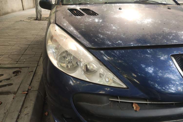 Used Peugeot 207 2009 2-Door Hatchback 1.4L Manual Yule Edition
