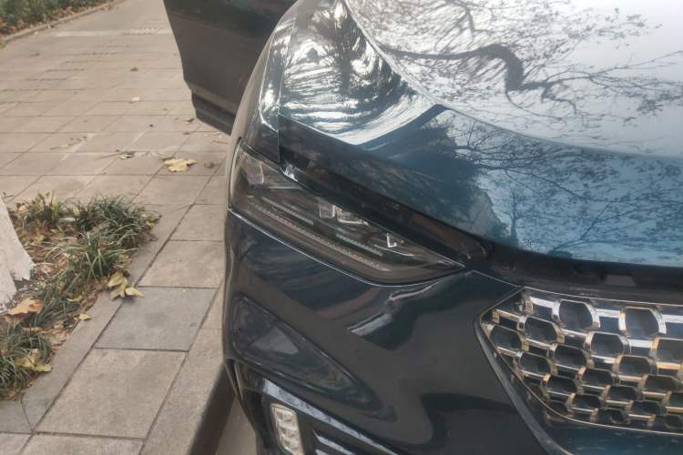 Used Wey VV7 2020 2.0T Flagship Edition