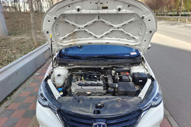 Used Changan Alsvin 2019 1.5L DCT Comfort Model China VI Standard
