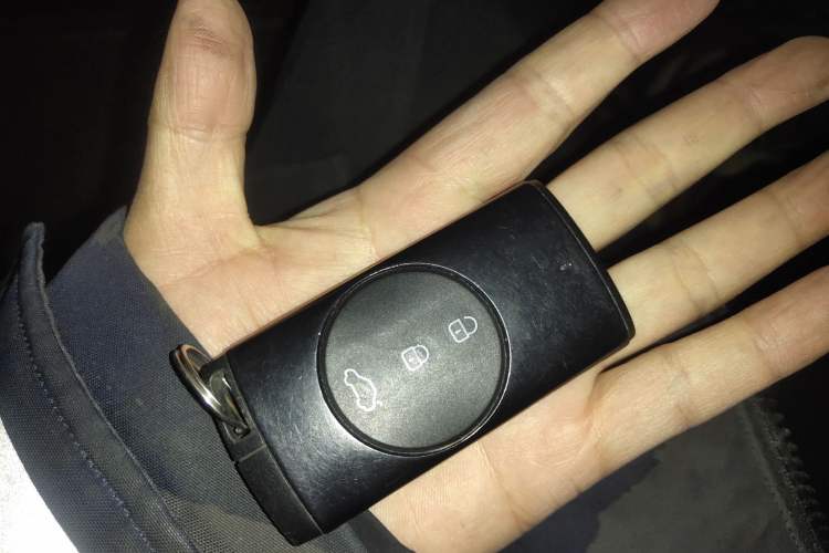 Used EXEED TX 2019 1.6T Four-Wheel Drive Platinum Edition
