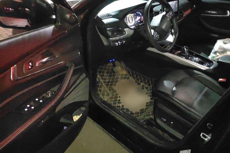 Used EXEED TX 2019 1.6T Four-Wheel Drive Platinum Edition
