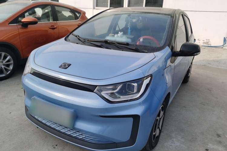 Used SOL E10X 2022 Flower Fairy Design Four-Leaf Clover