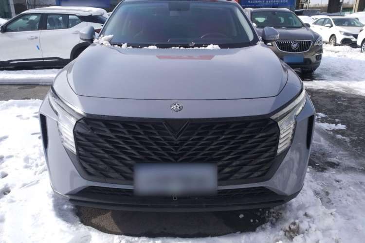 Used Venucia V 2021 260T Idol Edition Front