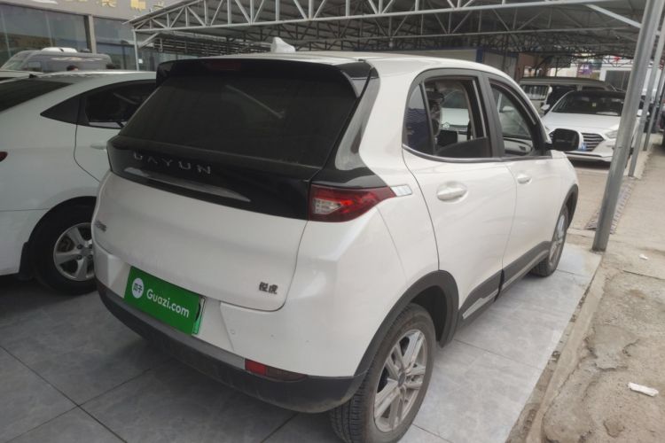 Used Dayun Yuehu 2022 300 Standard Edition
