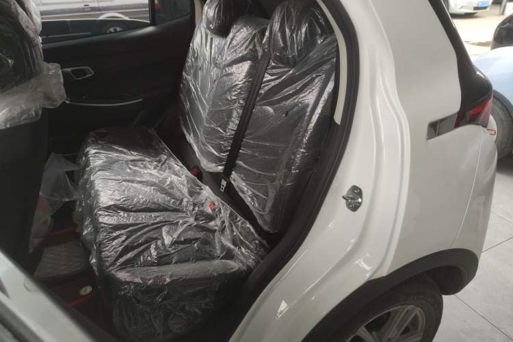 Used Dayun Yuehu 2022 300 Standard Edition
