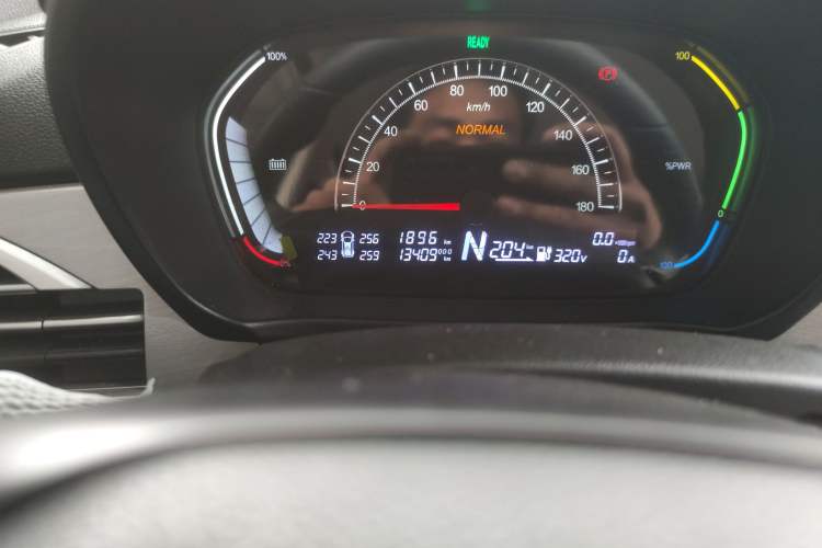 Used Dayun Yuehu 2022 300 Standard Edition
