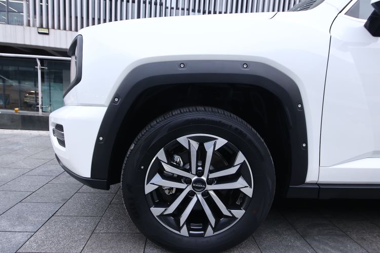 Used Haval H Dog 2023 2.0T All-Wheel-Drive Chaoye Plus