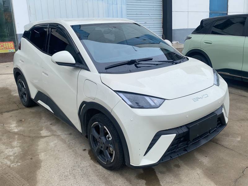 Used BYD Seagull 2023 Free Edition — 3