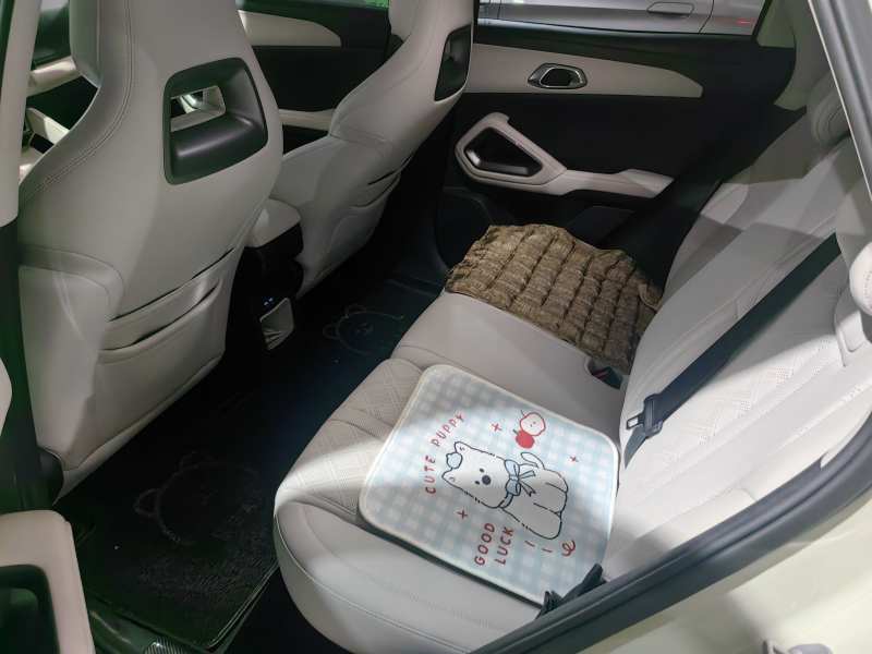 Used BYD Yuan UP 2024 401 km Active Version — 14