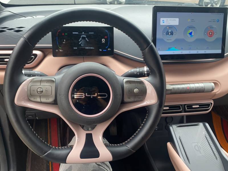 Used BYD Seagull 2023 Free Edition — 10