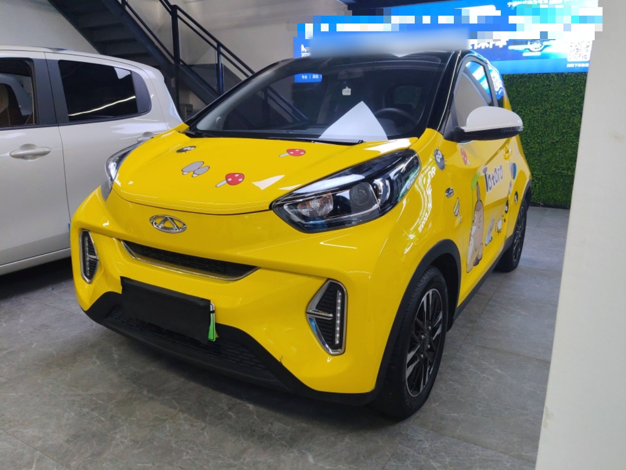 Parte inferior delantera