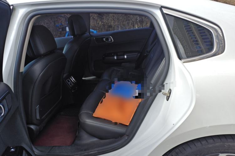 Used Citroen C6 2017 380THP Prestige Model Left Rear Seat