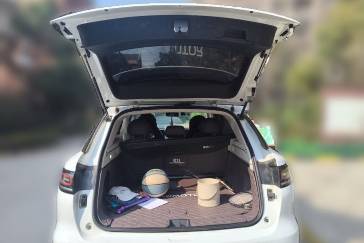 Used Leapmotor C11 2023 Pure Electric 500 Comfort Edition