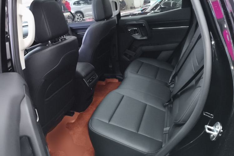 Used Haval H Dog 2023 1.5T Two-Wheel Drive Chao Ye Version Plus Left Rear Seat