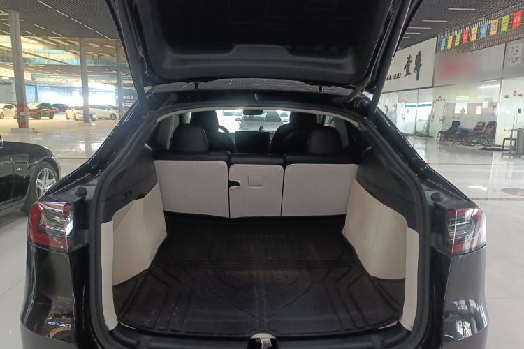 Used Tesla Model Y 2021 Standard Range Rear-Wheel Drive Version
