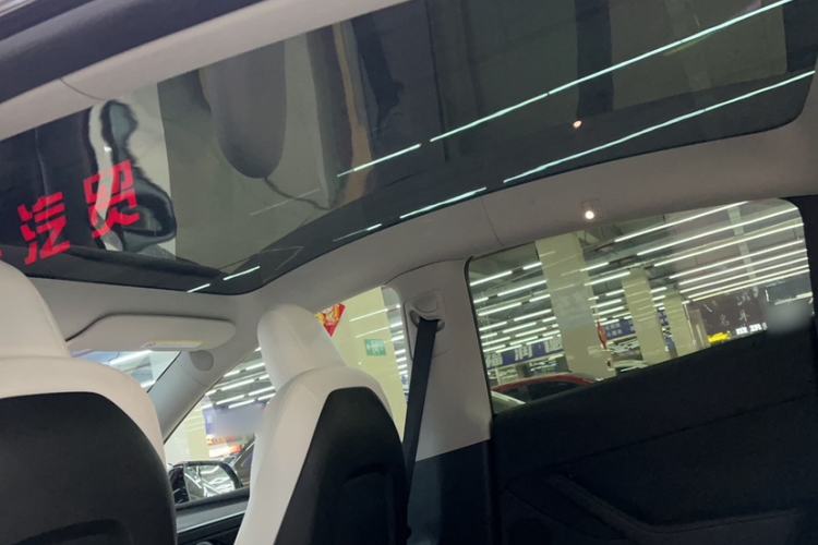 Used Tesla Model Y 2022 Rear-Wheel-Drive Version