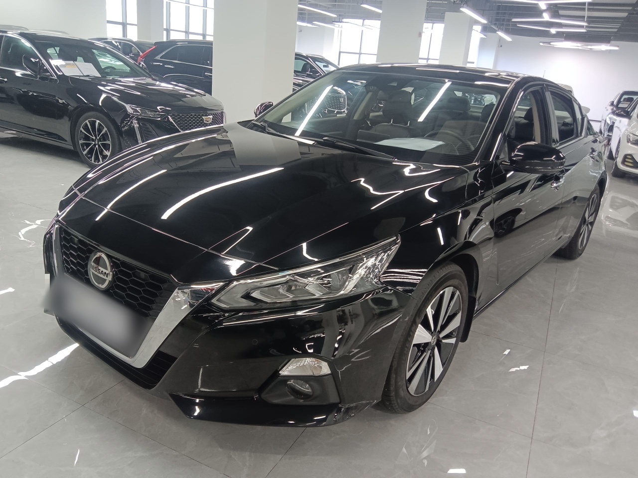 Parte inferior delantera