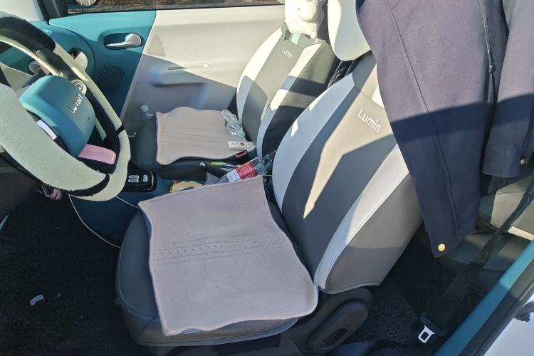 Used Qiyuan Lumin 2022 210km Sweet Edition