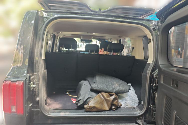 Used Tank 300 2024 2.0T Conqueror
