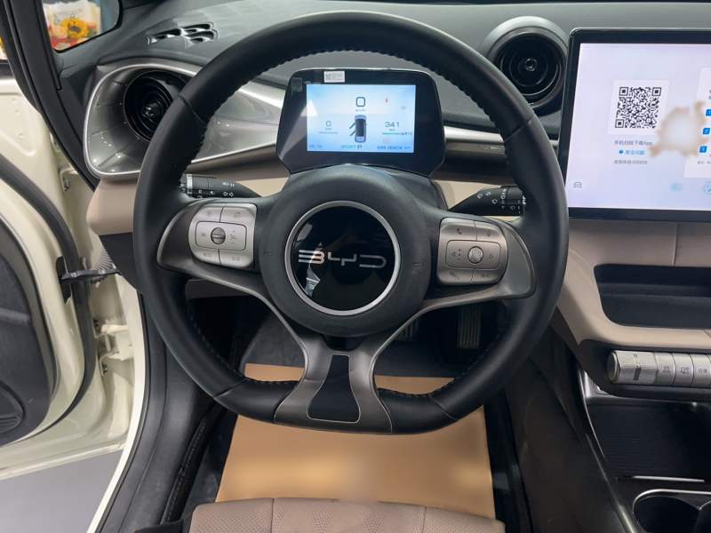 Used BYD Dolphin 2023 420 km Free Version — 10