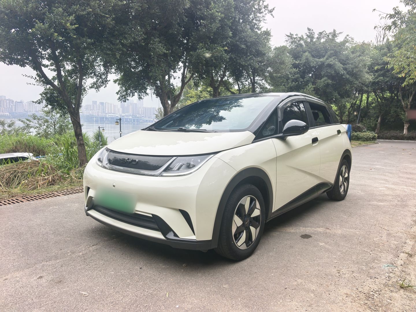 BYD Dolphin 2025 420km Free Edition — снимка 12