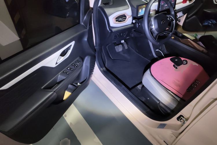 Used SOL E10X 2022 Flower Fairy Design Four-Leaf Clover
