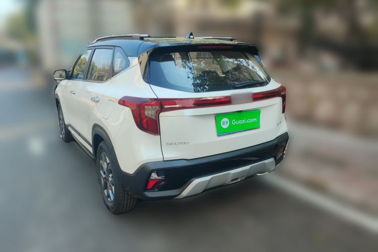 Used Kia Seltos 2026 1.5L IVT Luxury Edition
