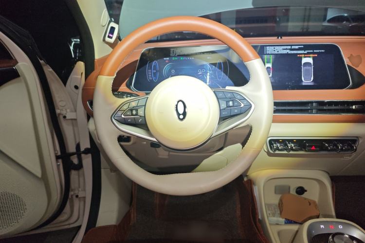 Used ORA Good Cat 2022 Morandi Edition 400km Standard Range Premium Version Lithium Iron Phosphate
