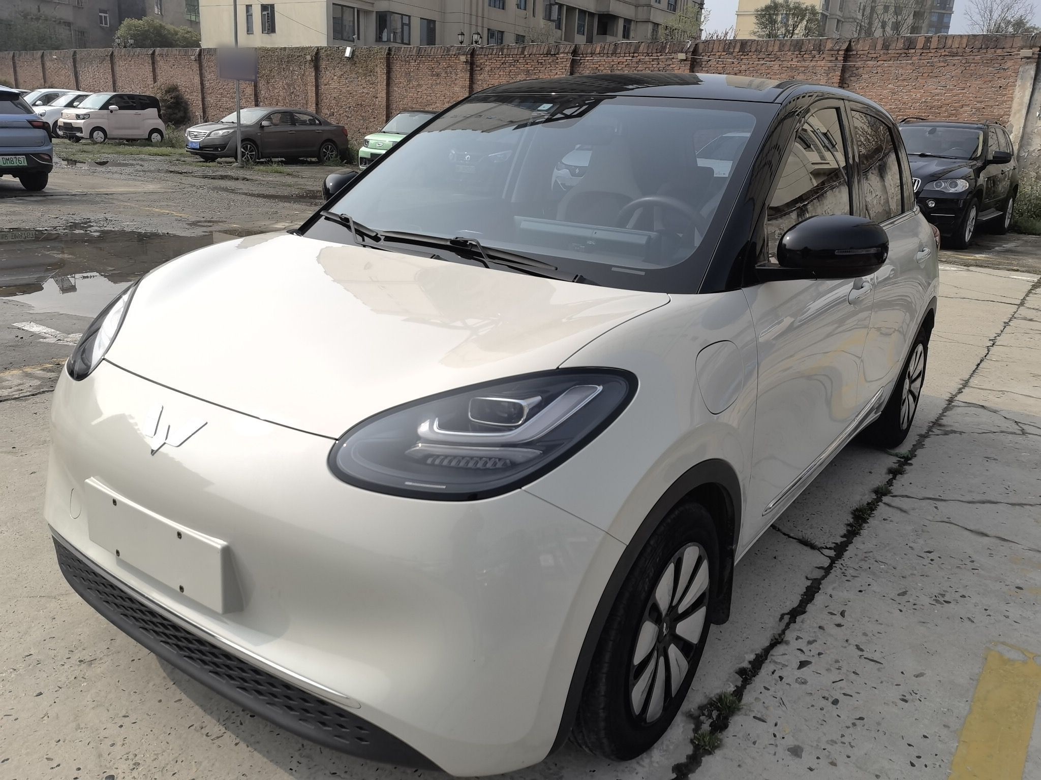 Parte inferior delantera