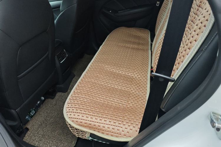 Used Roewe RX5 2016 20T Two-Wheel Drive Automatic Flagship Edition Left Rear Seat