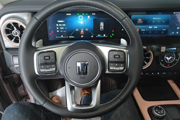 Used Tank 300 2023 City Edition 2.0T Essential Model