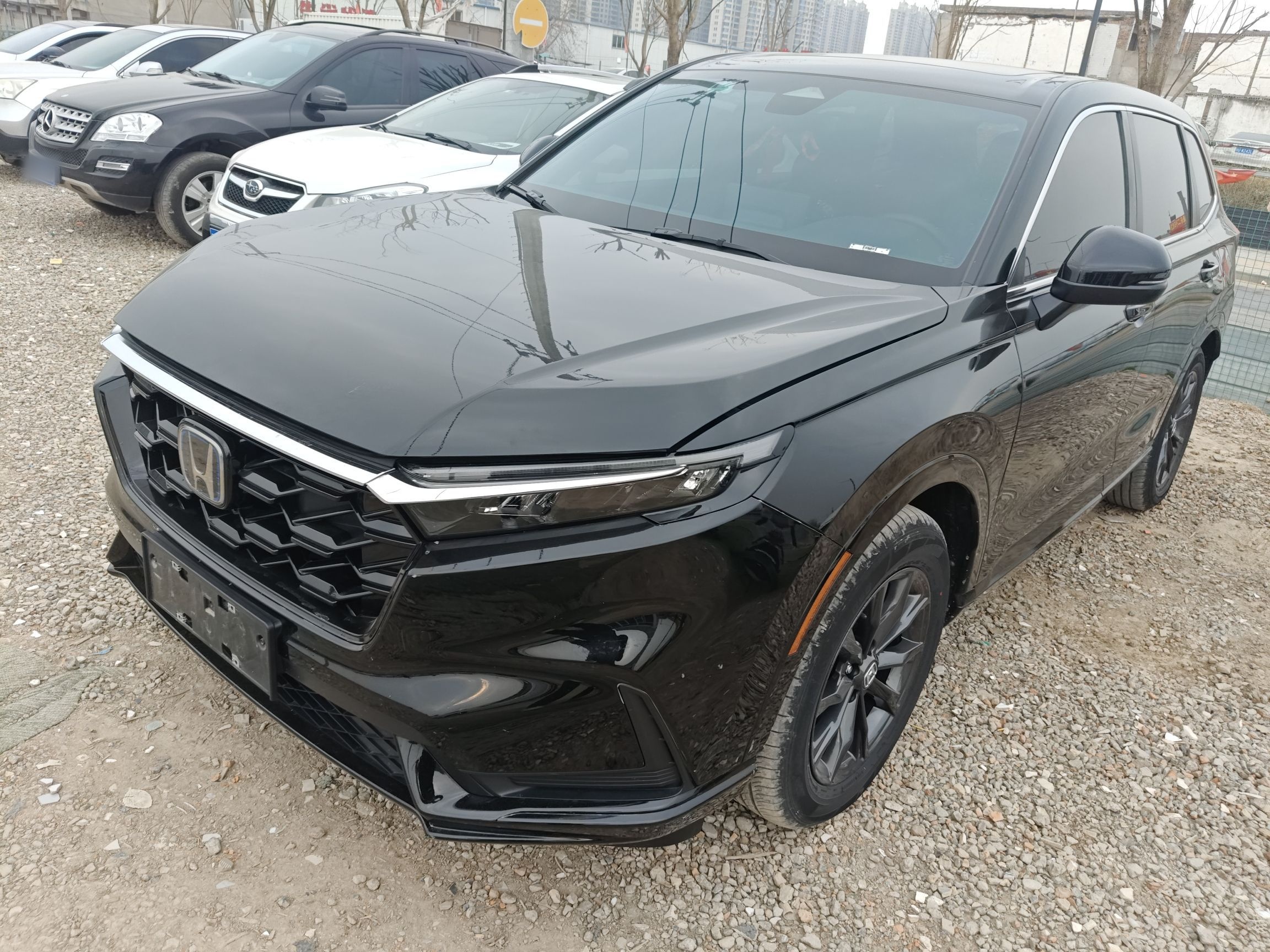 Parte inferior delantera