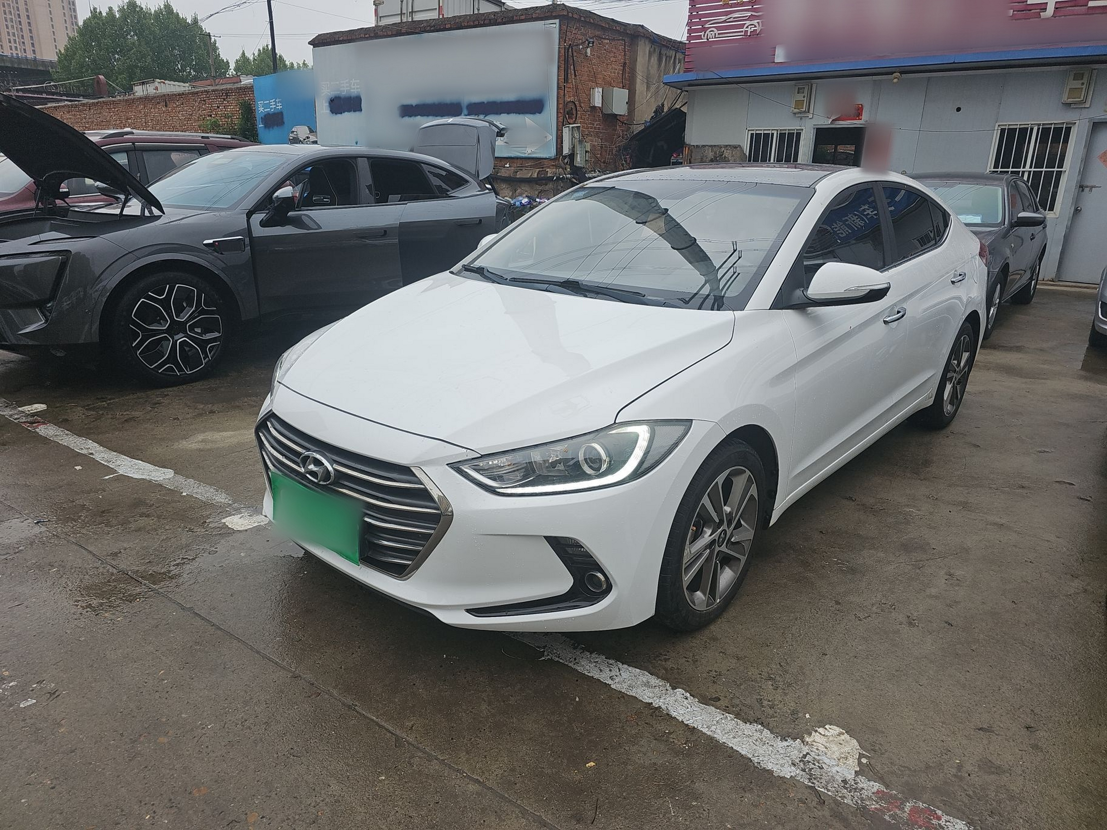 تحت مقدمة السيارة