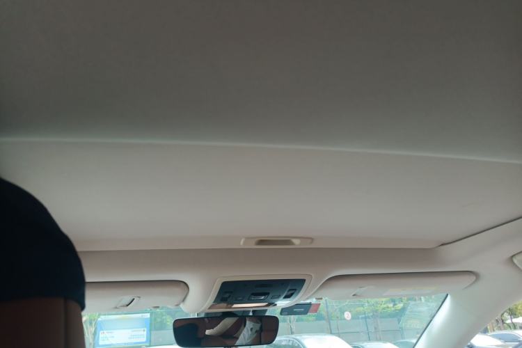 Used Lexus RX 2020 300 Two-Wheel Drive Comfort Edition China VI Standard Headliner