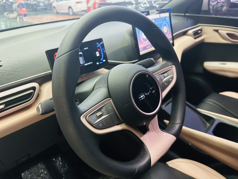 BYD Seagull 2025 Intelligent Driving Version 305 km Dynamic Edition — снимка 18