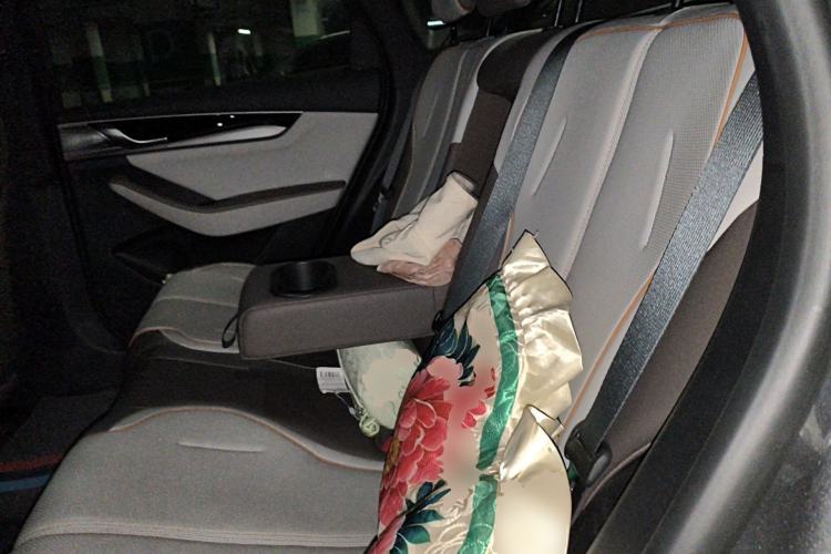 Used BYD Qin PLUS 2023 Champion Edition EV 510KM Leading Model