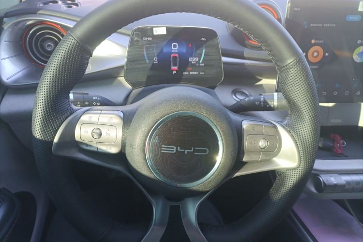 Used BYD Dolphin 2021 405 km Free Version
