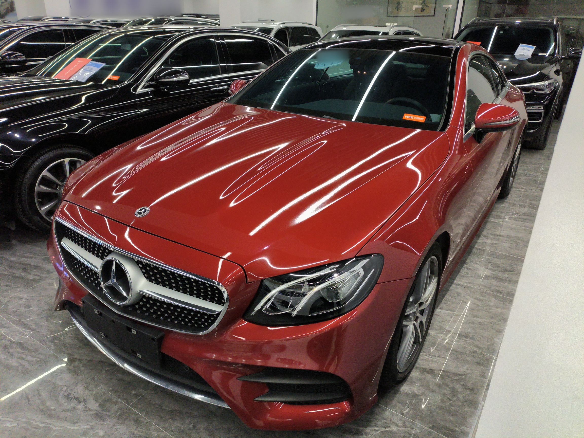 Parte inferior delantera