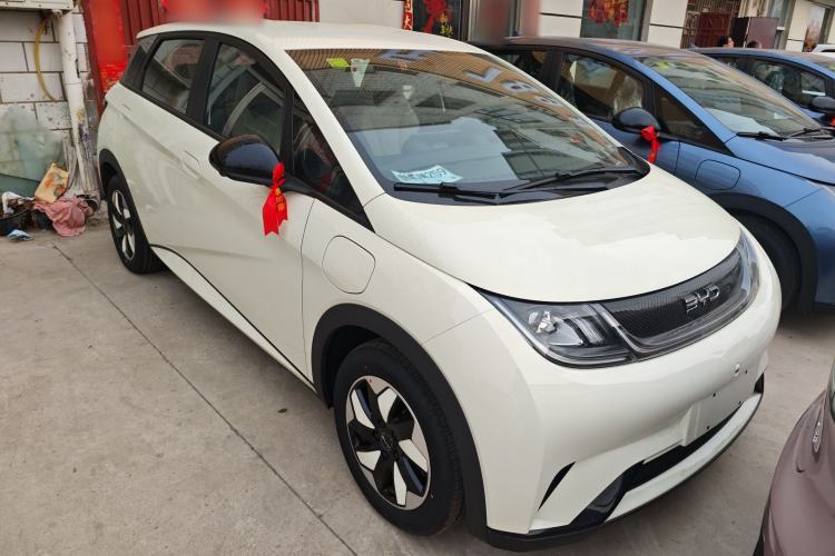 Used BYD Dolphin 2025 420km Free Edition
