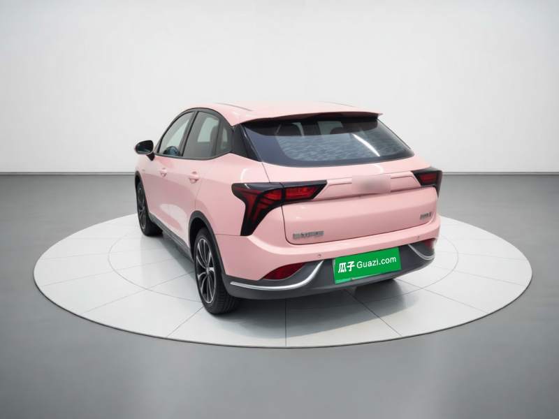 Used NETA V 2022 Chao 400 Lite Pink Custom Edition — 5