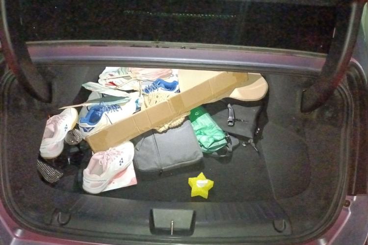 Used ORA Lightning Cat 2022 555 km Luxury Edition