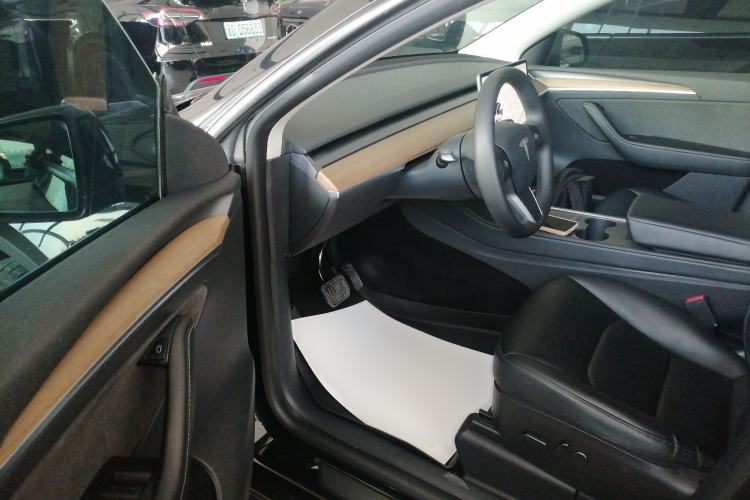 Used Tesla Model Y 2021 Standard Range Rear-Wheel Drive Version
